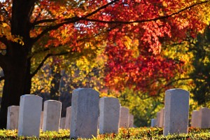 Picture of tombstones in a San Francisco Bay Area Graveyard